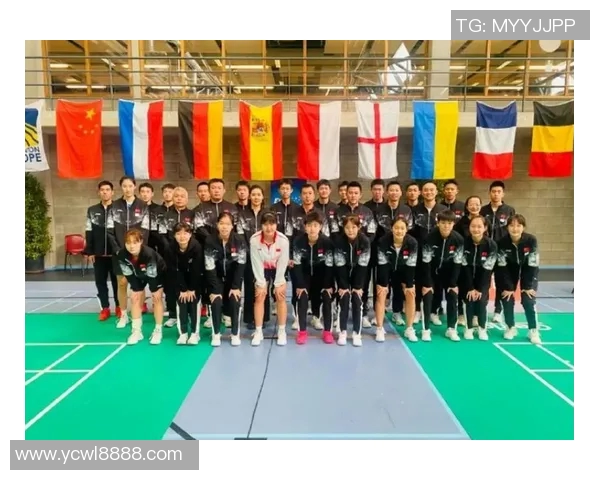 南京羽毛球队实力深度解析与其他球队的比较分析