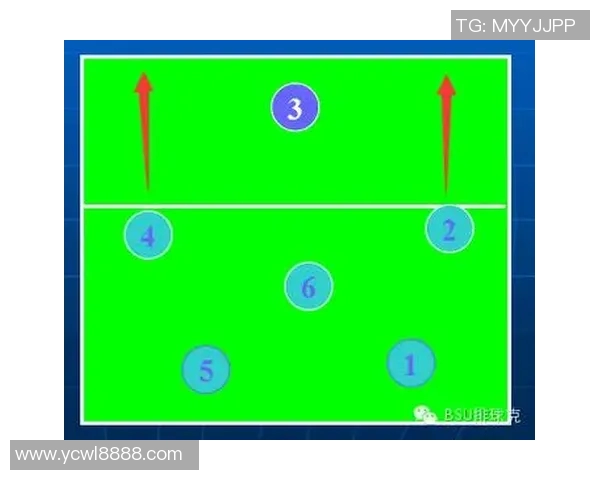 成都排球队反击战术解析与未来发展展望
