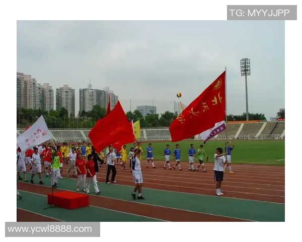 深圳极限运动队成员个人能力深度对比与分析探讨