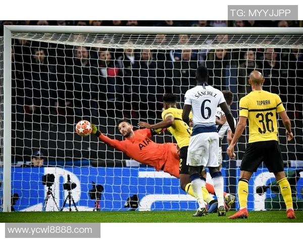 多特蒙德对阵热刺比赛结果分析及精彩瞬间回顾