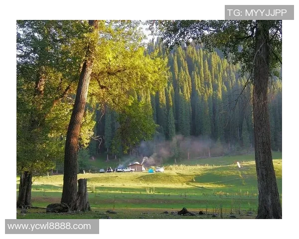 甘冈对阵朗斯精彩直播全程回顾及赛后分析尽在这里