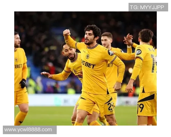 赫尔城对阵狼队精彩进球回顾与战术分析全景展现